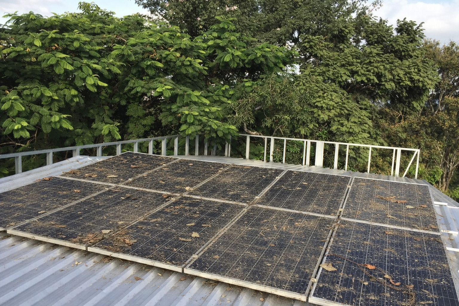 Antes - suciedad acumulada